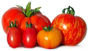 tomatensortiment