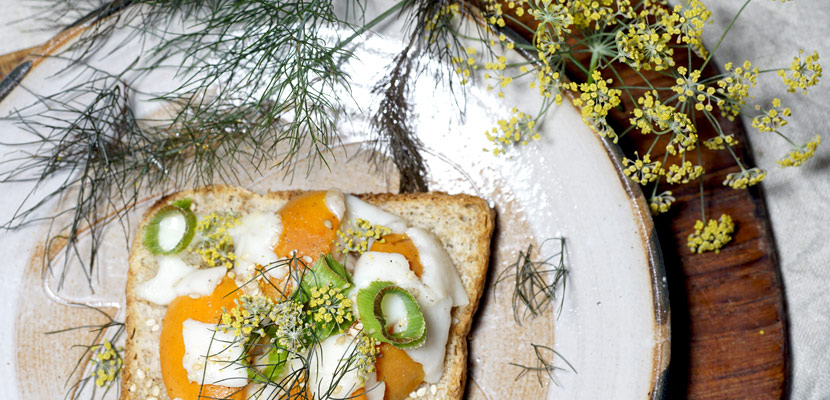 Aprikosentoast mit Bronzefenchel