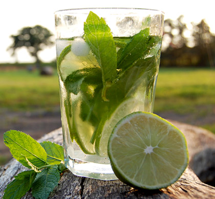 Mojito im Glas