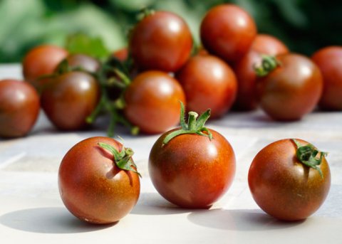 Kirschtomate 'Brown Berry' (Saatgut) 