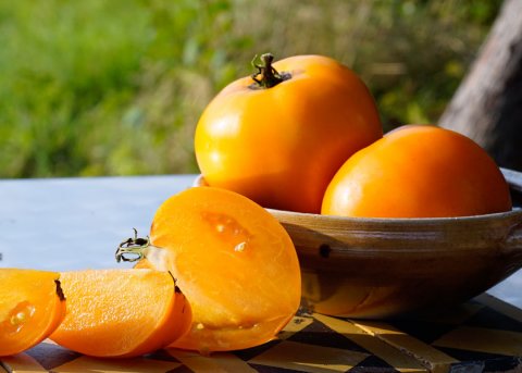 Fleischtomate 'Earl of Edgecombe' (Saatgut) 