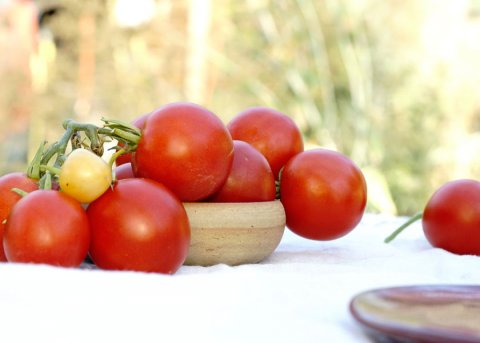 Tomate 'Quedlinburger frühe Liebe' (Saatgut) 