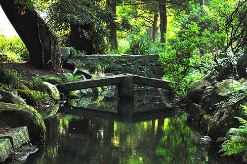 Botanischer Garten Bremen