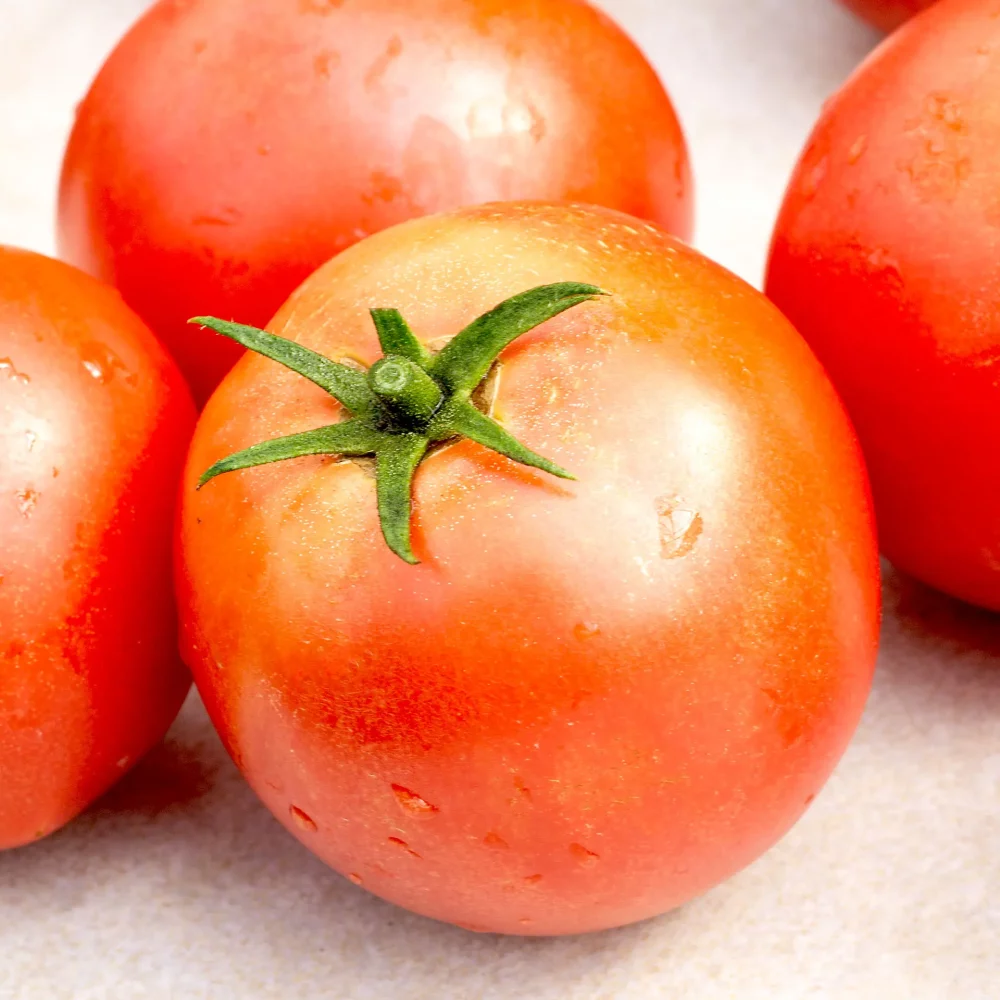 Japanische Tomate 'Misora' Samen – Bild 3