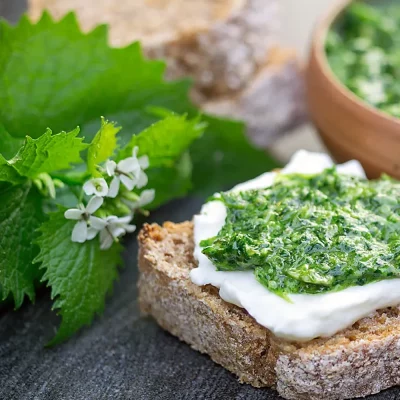 Knoblauchsrauke Pesto