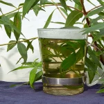 Zitronenverbene Pflanze - Verveine – Bild 2