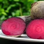 Rote Bete Samen – Bild 2
