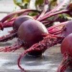 Rote Bete Ägyptische Plattrunde Samen – Bild 2