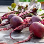 Rote Bete Ägyptische Plattrunde Samen – Bild 3