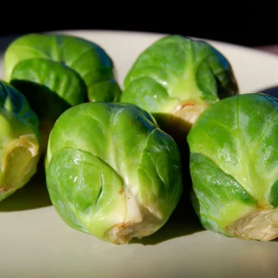 rosenkohl groninger