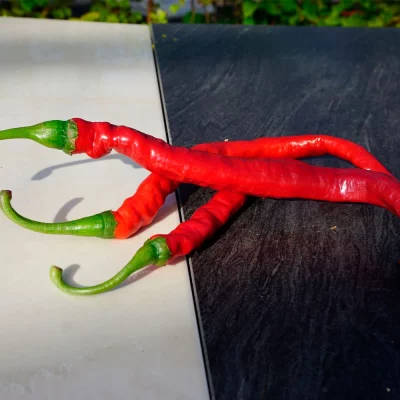Joes Long chili