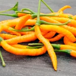 Chili Thai Hot Orange Früchte