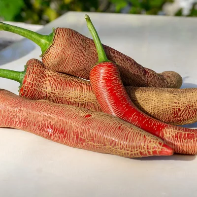 Chili Elephant Früchte