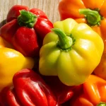 Chili Scotch Bonnet Samen – Bild 2