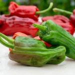 Chili Stavros Samen