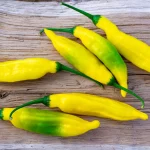 Chili Lemon Drop