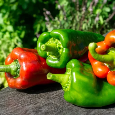 Paprika Pantos