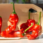 Peter Penis Pepper Früchte
