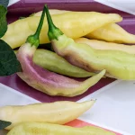 Chili 'Blondy' Samen – Bild 2