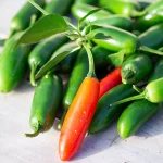 Chili Serrano tampiqueno Früchte