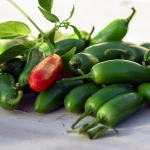 Chili 'Serrano tampiqueno' Samen – Bild 2