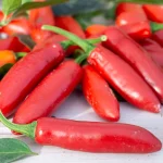 Chili 'Serrano tampiqueno' Samen – Bild 3