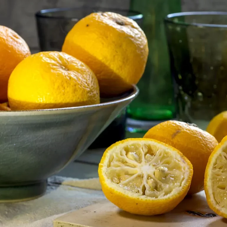 Yuzu Früchte