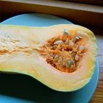 Butternut Kürbis Samen – Bild 2
