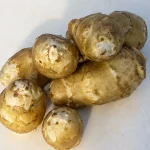 Topinambur Weisse Trüffel