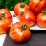 Salattomate 'Red Zebra' Samen – Bild 3