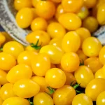 Datteltomate, gelb Samen – Bild 2