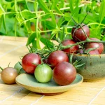 Kirschtomate Black Cherry