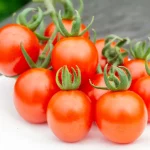 Kirschtomate 'Miel de Mexique' Samen