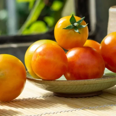 Tomate Isis Candy