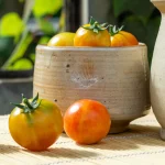 Kirschtomate 'Isis Candy' Samen – Bild 2