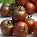 Kirschtomate Brown Berry