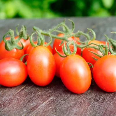 Tomate Pink Grape