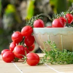 Tomate 'Pink Grape' Samen