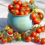 Mexikanische Wildtomate Samen – Bild 2