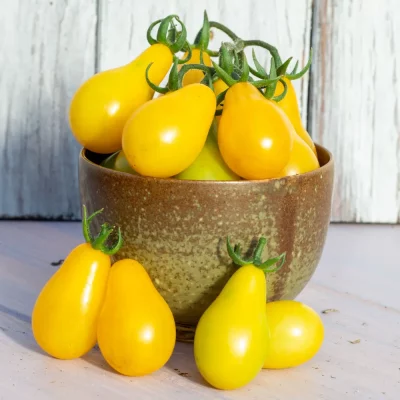 Tomate Gelbes Birnchen