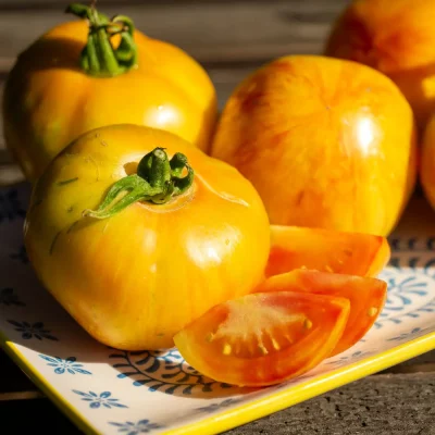 Tomate Oaxaca