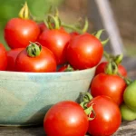 Tomate 'Tommy Toe' Samen – Bild 2