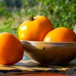 Tomate Earl of Edgecumbe