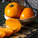 Fleischtomate 'Earl of Edgecumbe' Samen – Bild 2