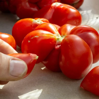 Reisetomate