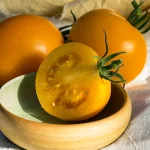Tomate Mandaline