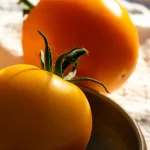 Fleischtomate 'Mandaline' Samen – Bild 2