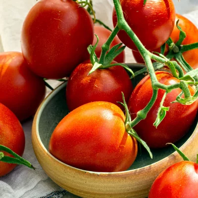 Tomate Dorenia