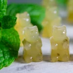 Mojito-Minze Pflanze – Bild 2
