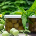 Vietnamesischer Koriander Pflanze – Bild 3